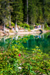 Dream Dolomites. Reflections on Lake Braies.
