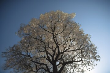 Low Angle View Of Tree Against Clear Sky, Generative AI