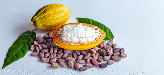 Ripe fresh slide cocoa pods, half-in cut cocoa fruit, and dry brown cocoa beans with green cacao leaf on white wooden background