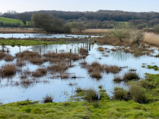 Flooded marsh and fen landscape in Combe Valley, East Sussex, England. This is a valley that floods annually. It is a wildlife reserve.