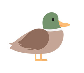 Concept Cute animals duck. This is a flat vector illustration of a cute brown duck. The design is a playful concept that would be perfect for use in children's books. Vector illustration.