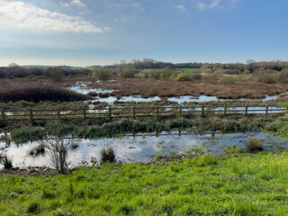 Flooded marsh and fen landscape in Combe Valley, East Sussex, England. This is a valley that floods annually. It is a wildlife reserve.