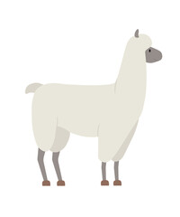 Concept Cute animals alpaca lama. This flat vector illustration depicts a cute and adorable animal, an alpaca or lama, in a cartoon style. Vector illustration.