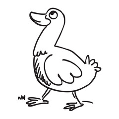 duck hand drawn vector illustration