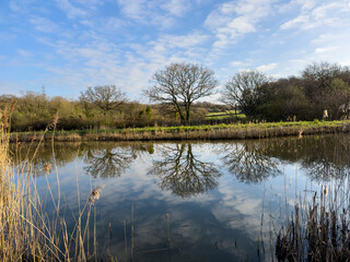 Fototapeta na wymiar Trees reflected in Little Bog Lake in Combe Valley, East Sussex, England