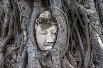 Statue de Bouddha, Ayutthaya, Thailande - obrazy, fototapety, plakaty