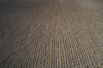 Rows of soil before planting. Furrows row pattern in a plowed field prepared for planting crops in...