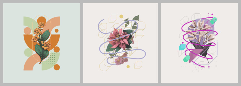 Fototapeta Abstract minimalist Art. Mixed style, geometric shapes and plants. Flowers, leaves. Set of vector paintings. Bauhaus. Backgrounds for poster, banner, print.