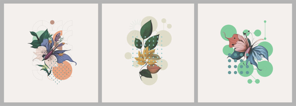Fototapeta Abstract minimalist Art. Mixed style, geometric shapes and plants. Flowers, leaves. Set of vector paintings. Bauhaus. Backgrounds for poster, banner, print.