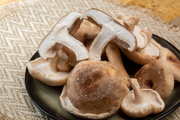 Fresh brown Lentinula edodes or shiitake edible mushrooms from Japan