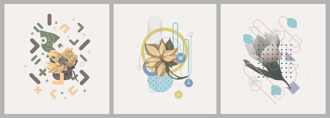 Abstract minimalist Art. Mixed style, geometric shapes and plants. Flowers, leaves. Set of vector paintings. Bauhaus. Backgrounds for poster, banner, print.