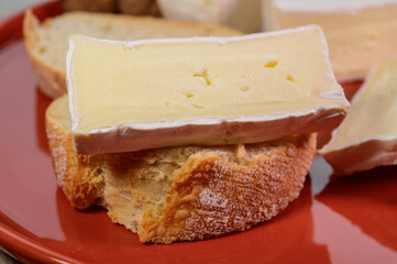 Lunch with fresh baguette and French white mold soft cow milk cheese Caprice des Dieux from Haute-Marne region, France