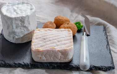 Cheese collection, Belgian soft yellow cow milk cheese with white mold from Bruges and bouquet des moines from Abbey of Val-Dieu