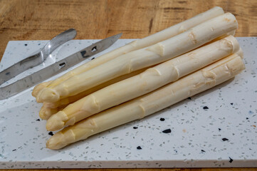 Spring season, new harvest of Dutch, German white asparagus, bunch of raw white asparagus