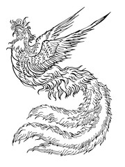 Fototapeta premium Design asian phoenix bird element outline art