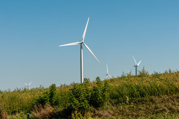 Wind Turbines Operating At Calumetville, Wisconsin