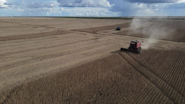 tractor in field soybean harvest