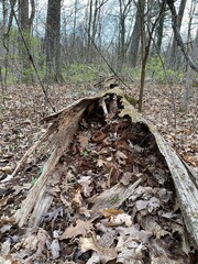 Gatlinburg Tennessee 