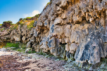 Heavily eroded Tamala limestone along the coast of the Leeuwin-Naturaliste Ridge, along the Cape to...