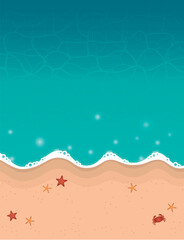 Fototapeta na wymiar summer holiday beach background with shell starfish crab