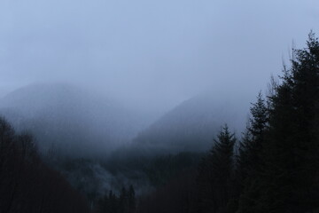 mist in the mountains