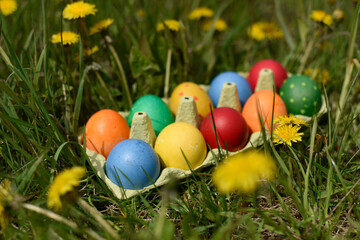 6 Multi colors painted easter eggs in the eggs tray on the fresh spring grass.Traditional Easter egg hunt.Easter symbol