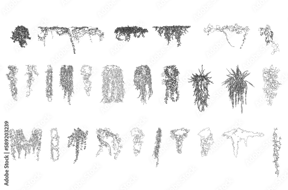 Poster vines tropical plant drawing, side view, set of graphics trees elements outline symbol for architect
