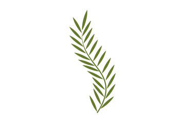 icon olive oil branch logo design