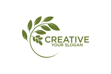 icon olive oil branch logo design