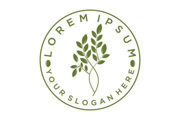 green olive branch logo or symbol vector illustration