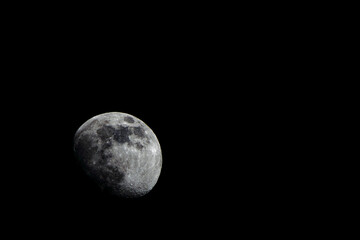 caressed by the light moonlight on a spring night 