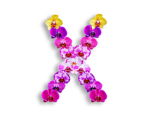X shape made of various kinds of orchid flowers