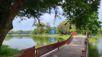 公園を散歩する