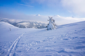 Western Tatras in winter. Grzes (Lucna) peak area.