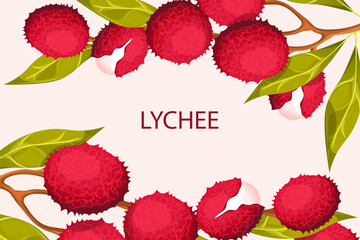 Background with lychee fruit.A web banner with ripe, juicy lychee berries on a branch.Fresh fruit.Vector illustration.