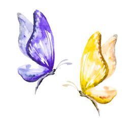 Fototapeta na wymiar Colorful butterflies: yellow, blue. Hand drawn watercolor illustration. Isolated on white background. Ukraine