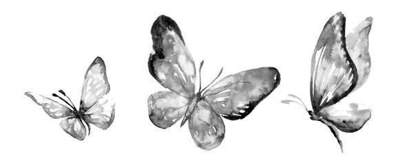 Three big butterflies on white background. Traditional oriental ink painting sumi-e, u-sin, go-hua. Hieroglyph - well-being