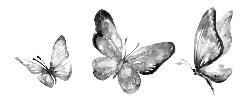 Three big butterflies on white background. Traditional oriental ink painting sumi-e, u-sin, go-hua. Hieroglyph - well-being
