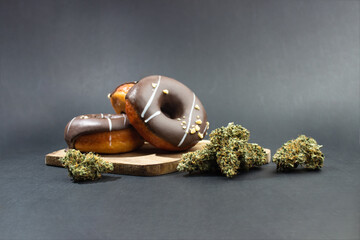 Chocolate-coated donuts lie next to medical marijuana buds.  On a gray background