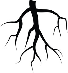 root of a tree vector isolated on white background. roots icon.