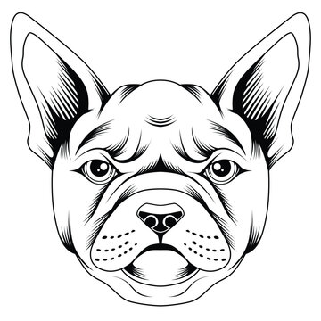 French bulldog tattoo style in black and white