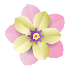 beautiful paper flower