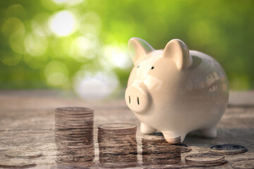 Piggy bank on floor concept for saving with bokeh outdoor green nature background.