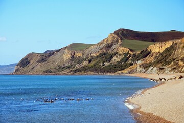 View looking West along the pebble beach towards the Jurassic Coast cliffs, West Bay, Dorset, UK, Europe