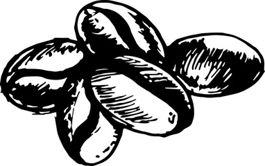 Hand Drawn Coffee Bean. Sketched Illustration