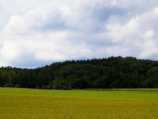 Hills and meadows of Kashubia Region, Poland. - obrazy, fototapety, plakaty