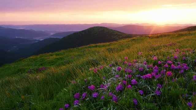 Majestic Carpathian Mountains landscape view.