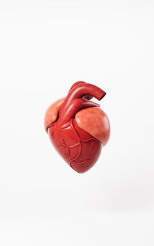 Heart model in the white background, 3d rendering.