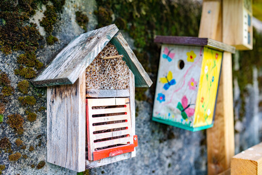 A wooden insect house or insect hotel with a bird house in the background