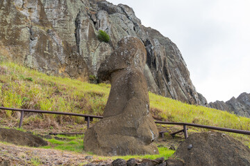 Side view of Moai Tukuturi head showing beard at Rano Raraku, Easter Island (Rapa Nui), Chile....